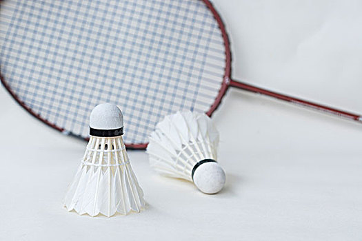 态和场地因 态和场地因