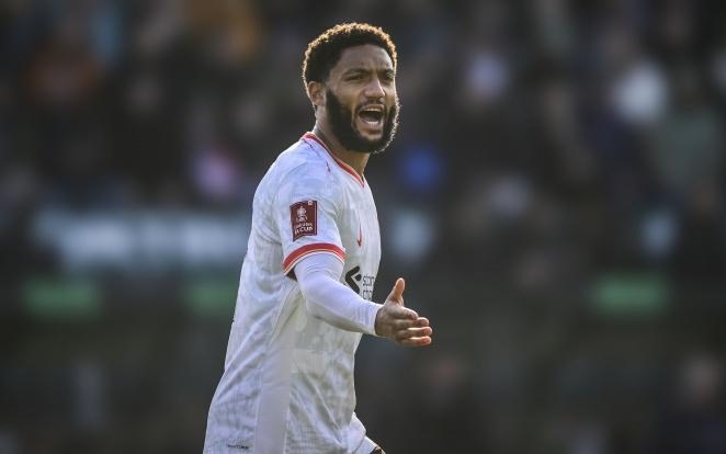 上并不如巅 上并不如巅