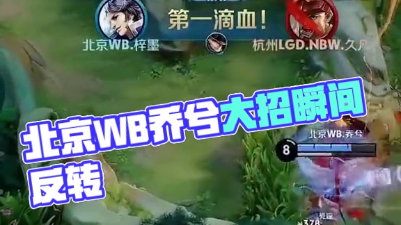 作为国内高 作为国内高