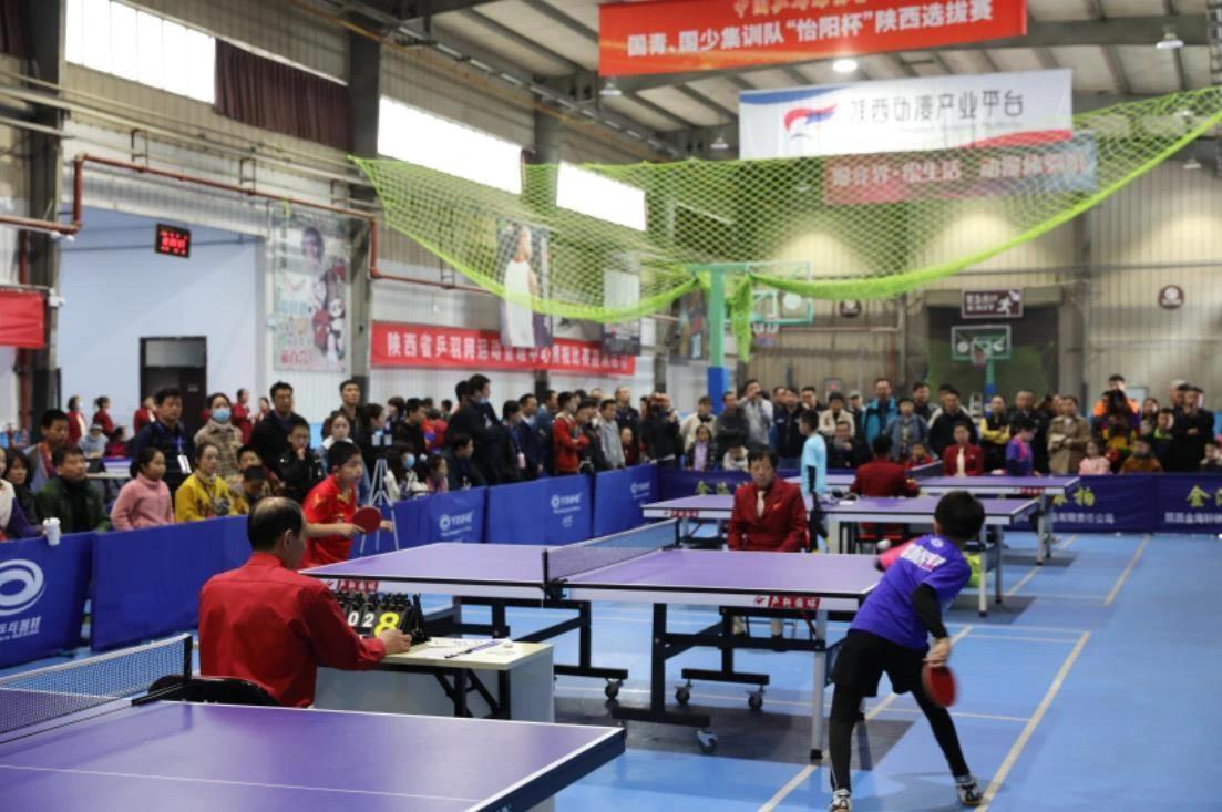 国乒小将 国乒小将